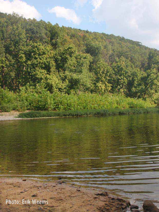 Kings River Waters - Arkansas